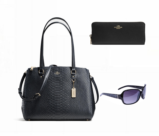 Coach Only $119 Value Spree 8805 - Click Image to Close